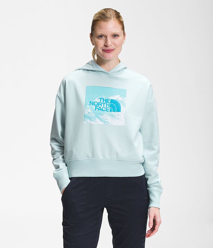 The North Face Hoodie Dames Logo Play ETNV07841 - Blauw